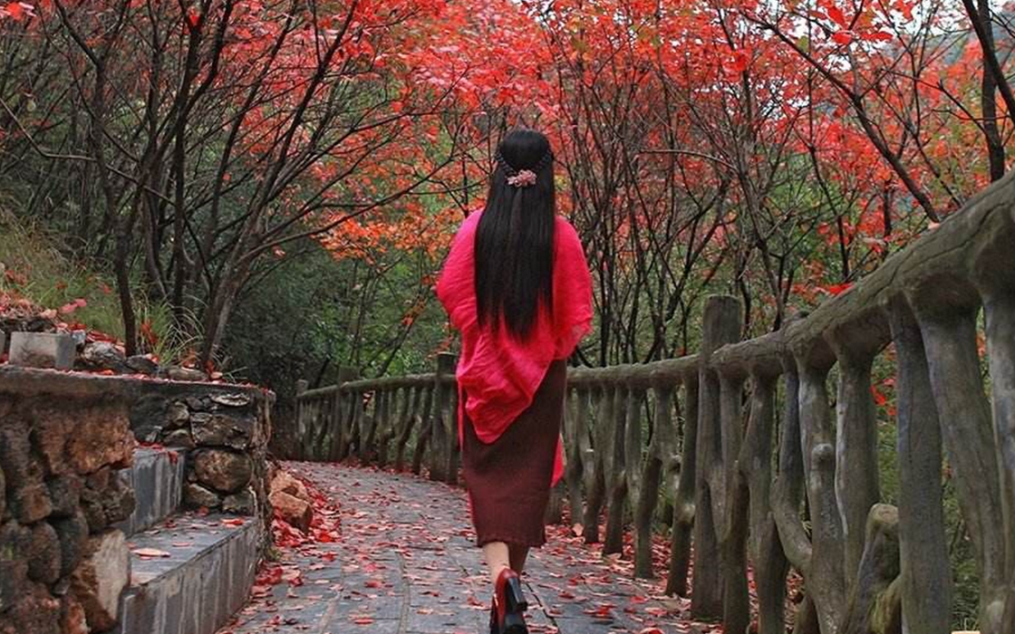 ag������Ϸ��(�й�)���Ź���