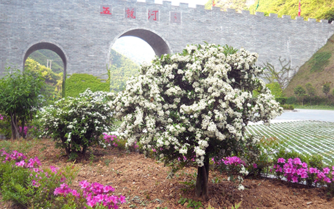 ag������Ϸ��(�й�)���Ź���