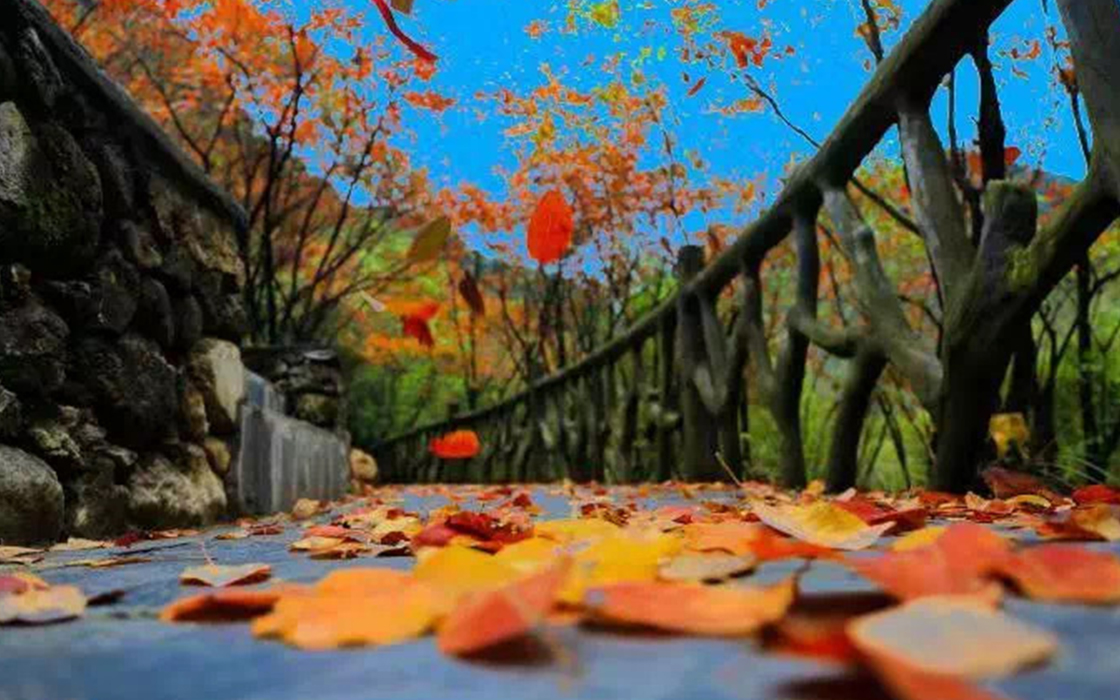 ag������Ϸ��(�й�)���Ź���