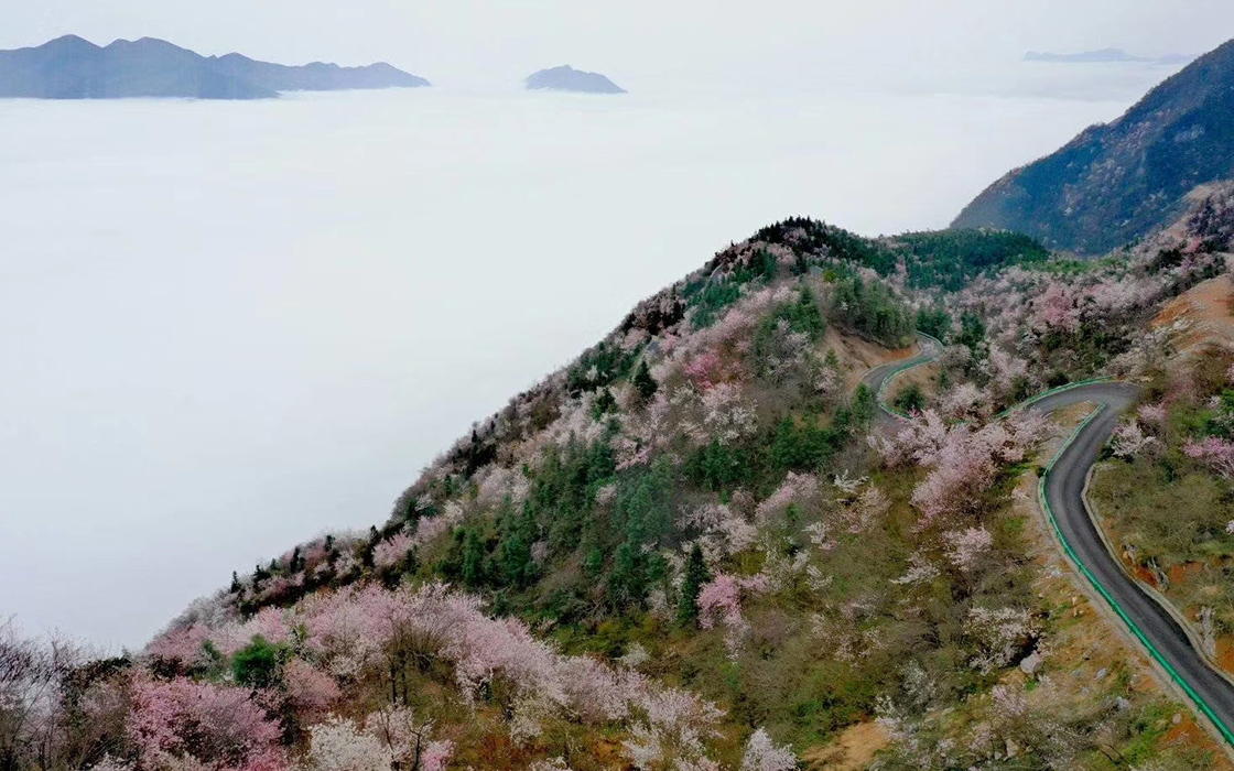 ag������Ϸ��(�й�)���Ź���