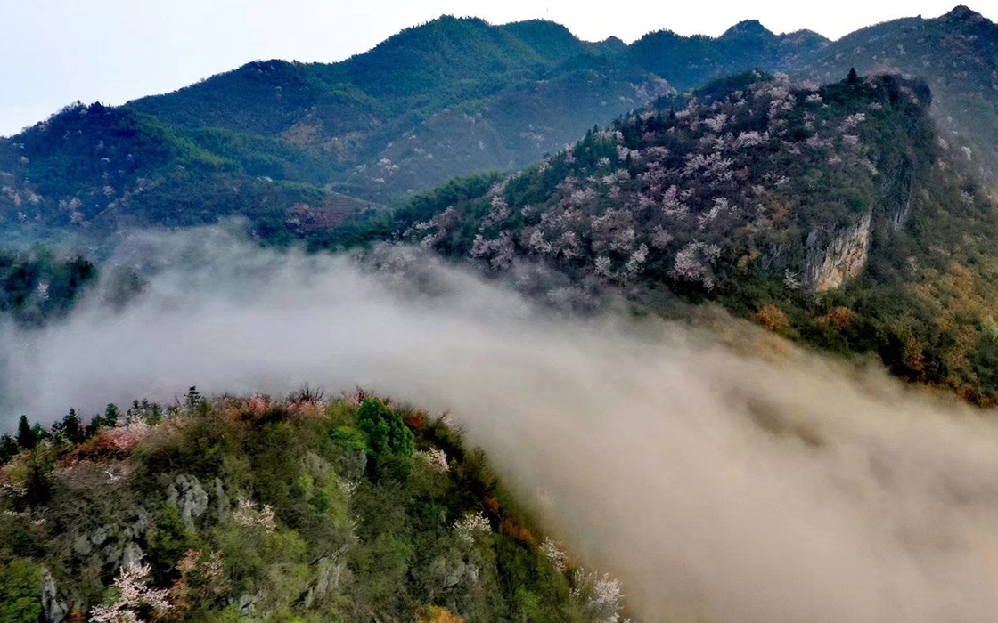 ag������Ϸ��(�й�)���Ź���