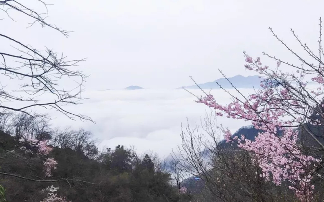 ag������Ϸ��(�й�)���Ź���