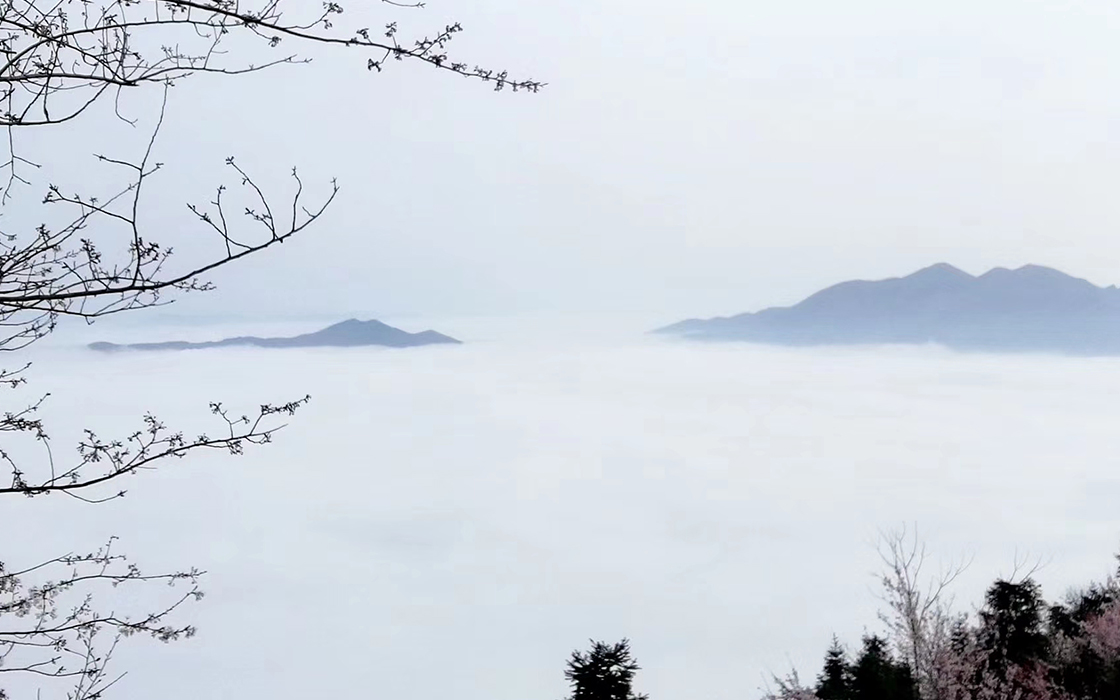 ag������Ϸ��(�й�)���Ź���