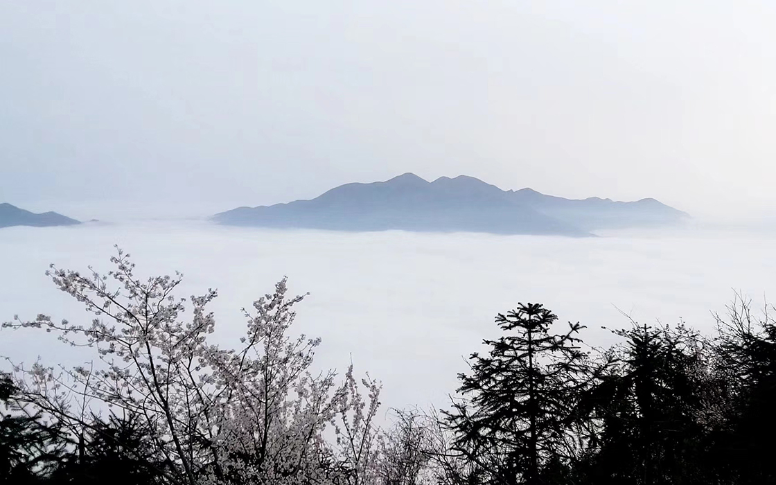 ag������Ϸ��(�й�)���Ź���