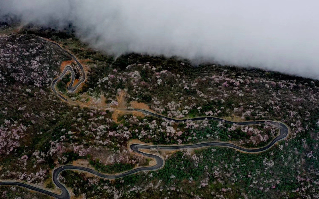 ag������Ϸ��(�й�)���Ź���