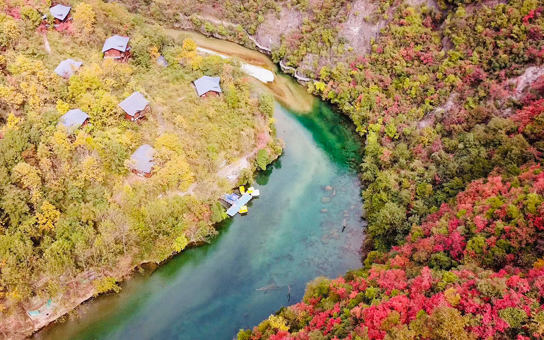 ag������Ϸ��(�й�)���Ź���