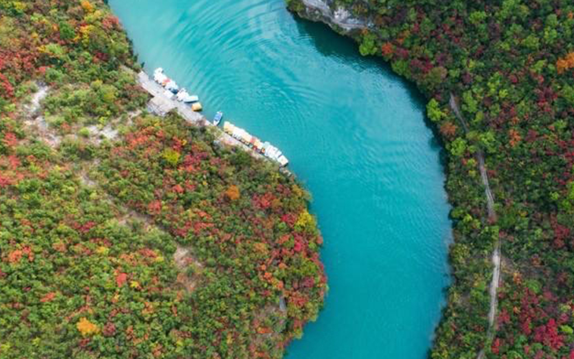 ag������Ϸ��(�й�)���Ź���