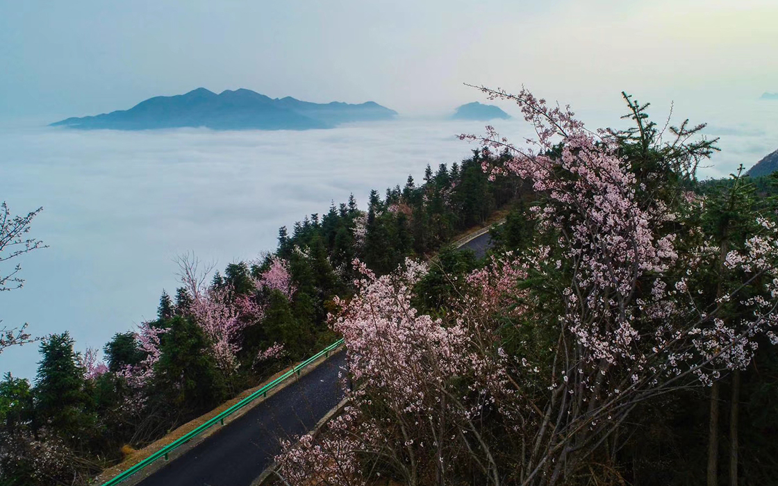 ag������Ϸ��(�й�)���Ź���