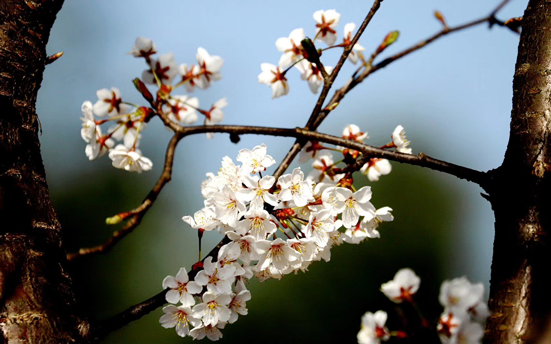 ag������Ϸ��(�й�)���Ź���