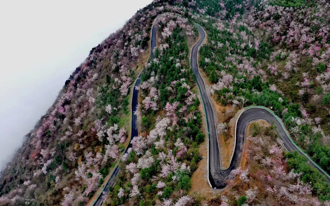 ag������Ϸ��(�й�)���Ź���