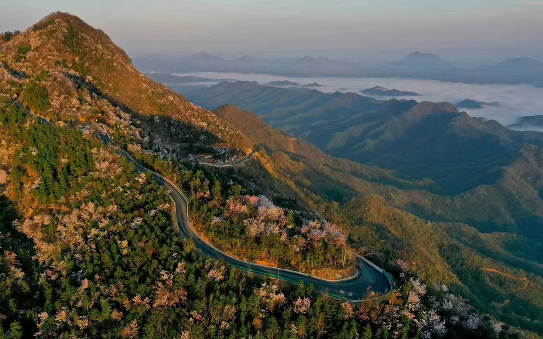 ag������Ϸ��(�й�)���Ź���