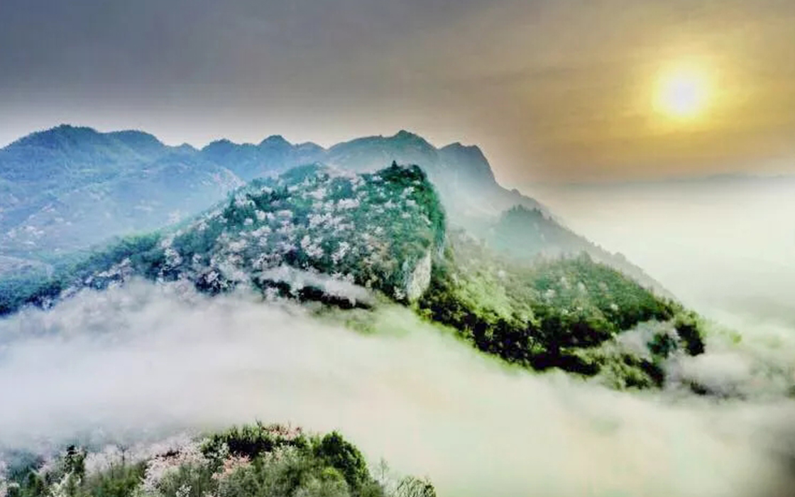 ����ag������Ϸ���ų������ο������޹�˾